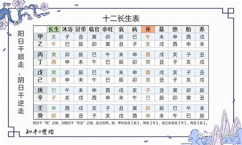 12 長生|長生十二神【長生】在命盤十二宮